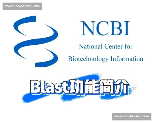 数据分析：Blast春季赛冠军是如何炼成的